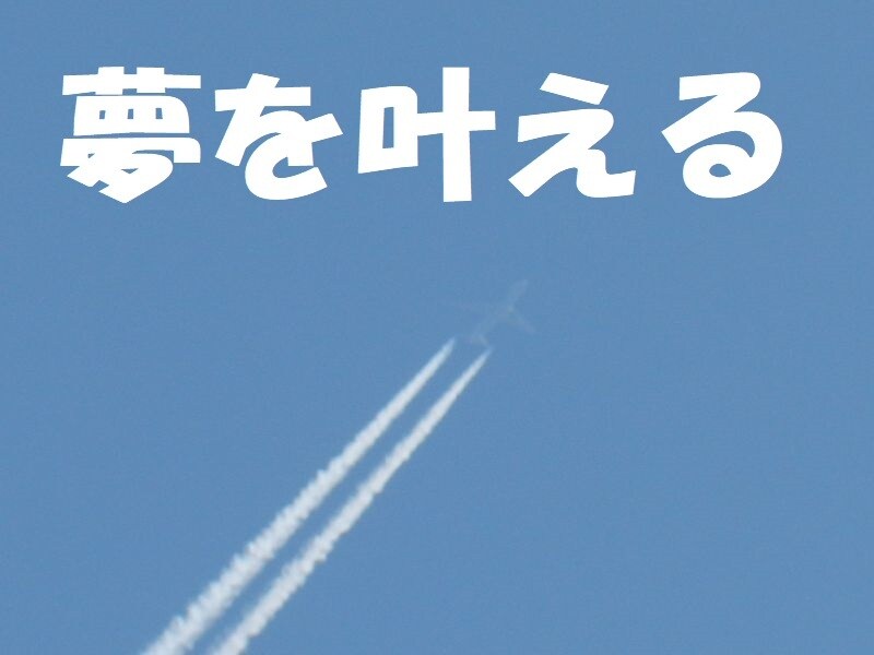 途中挫折はもう卒業!継続する目標設定のコツ教えます 習慣化できる具体的目標と行動設定方法を解説動画&シートで! イメージ3