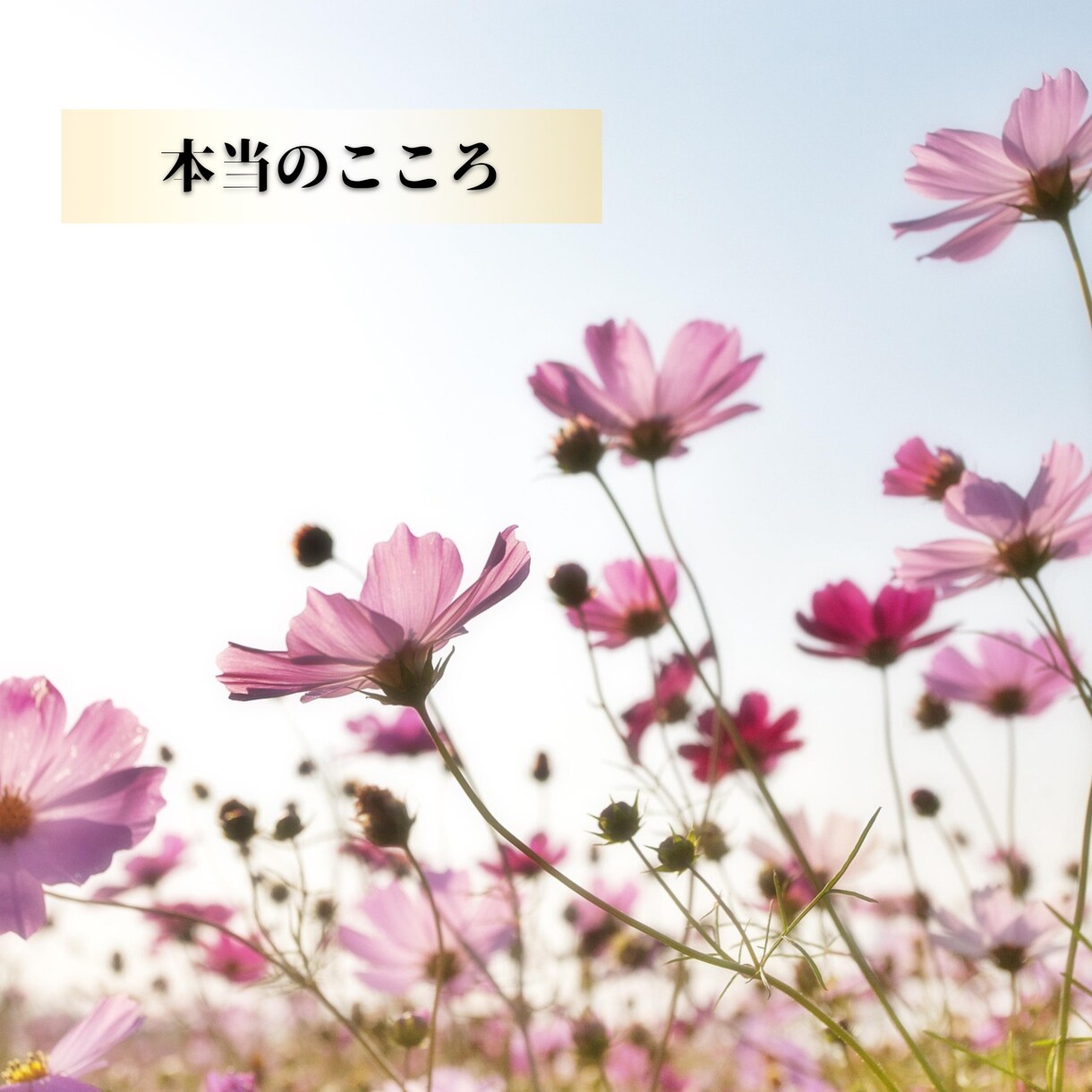 妊活チャネリング、未来へのメッセージをお伝えします 揺れ動き続けてきた心を癒し、ありのままのあなたと繋がります イメージ3