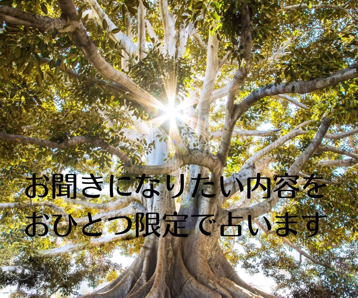 決められない悩みをお持ちの方にヒントを差し上げます お悩みの内容を話さなくても、解決につながるヒントが得られます イメージ9