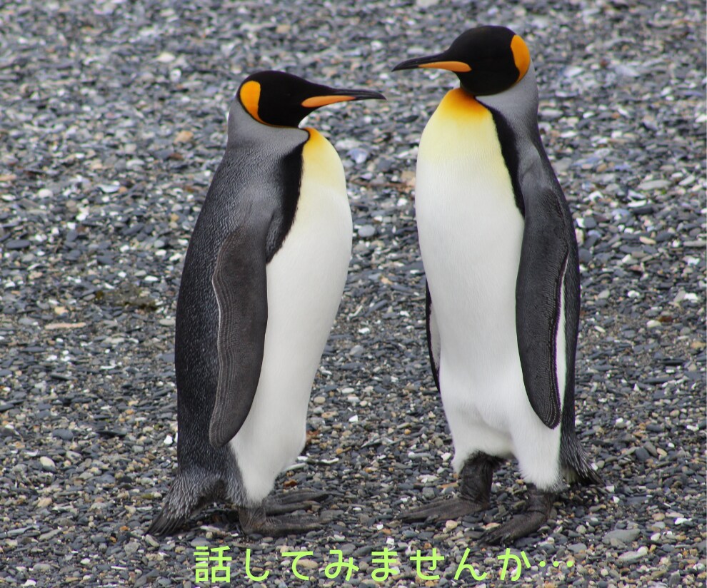 今、悩ませる問題を一緒に心理資格者が整理します こんな問題抱えてたら明日なんて向かえないよ！プロカウンセラー イメージ6