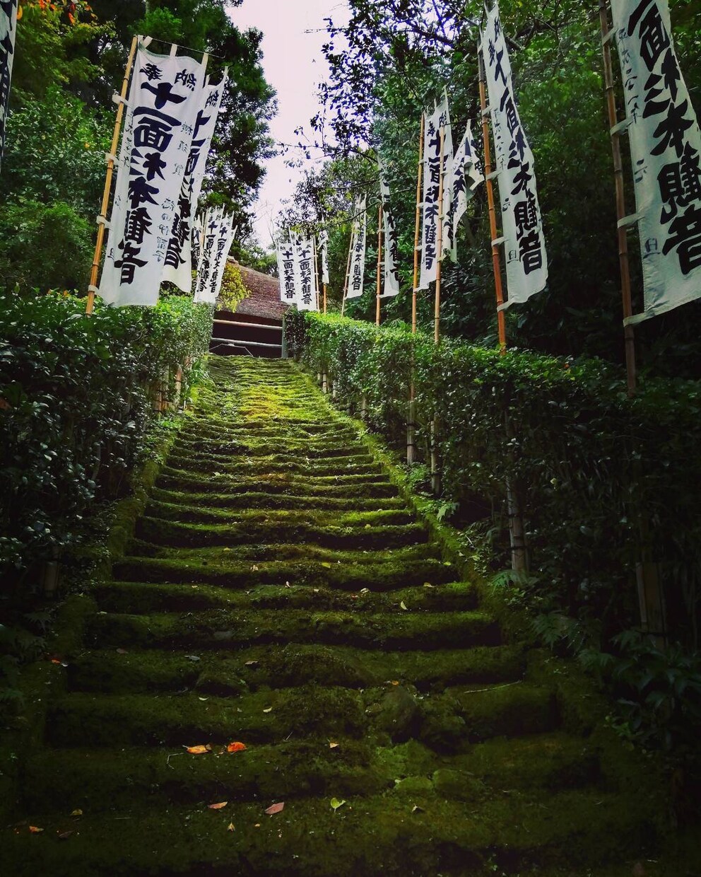 あなた、頑張り過ぎ屋さんになってます 頑張りのプロではなく、頑張り過ぎない自分になりましょうね。 イメージ7