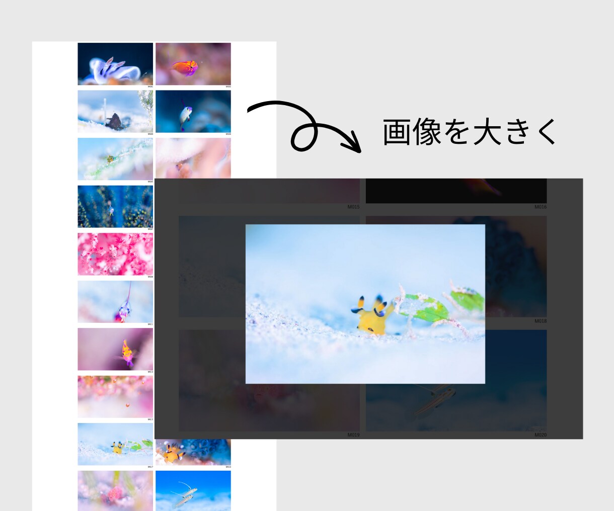 業種や目的にあわせたオリジナルHP制作します 起業・開業・個人などこれからホームページが必要な方へ イメージ4
