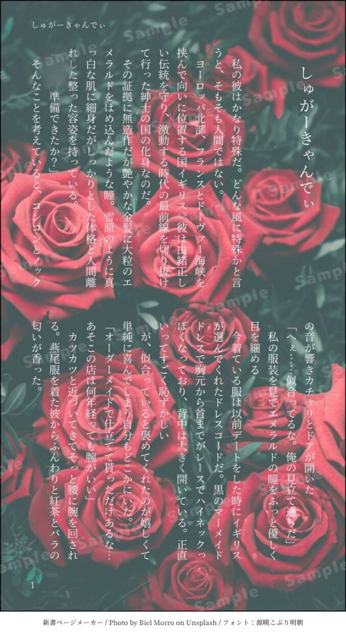 あなただけの夢小説、小説執筆書かせて頂きます イメージを形に、妄想を現実にします イメージ4