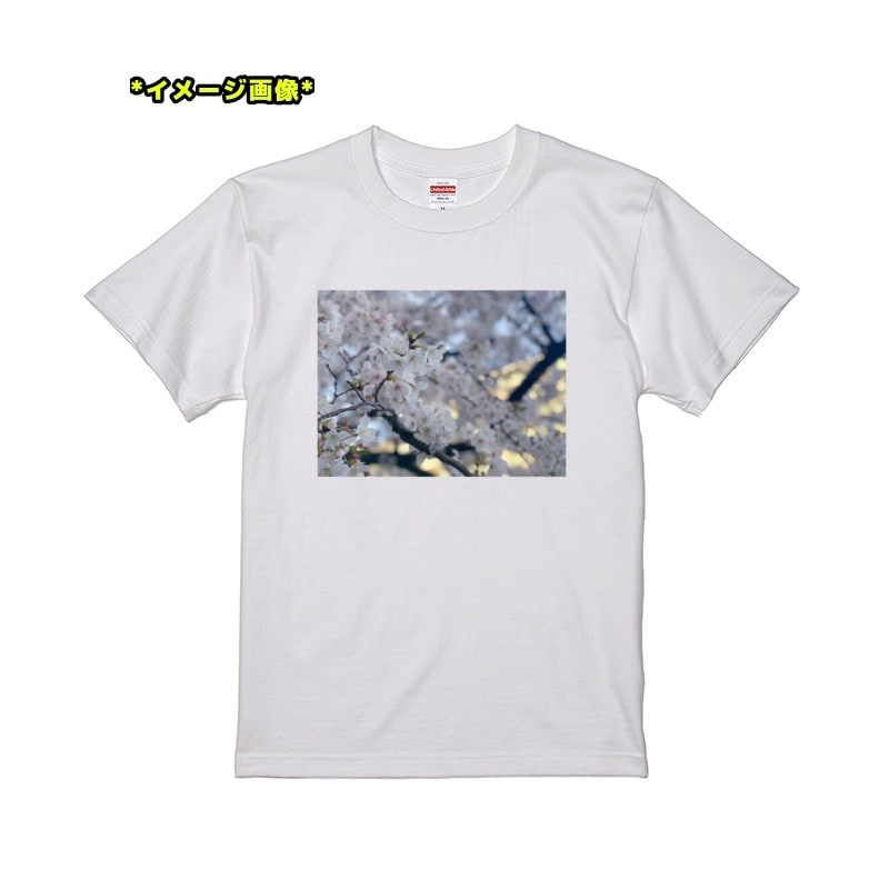 激安フルカラーで【オリジナル白Tシャツ】作成します 【激安】白Tシャツに写真、イラスト、文字をフルカラー印刷！ イメージ2