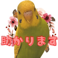 ペットの写真をかわいいラインスタンプにします ペットのオリジナルラインスタンプを低価格でお作りします イメージ7