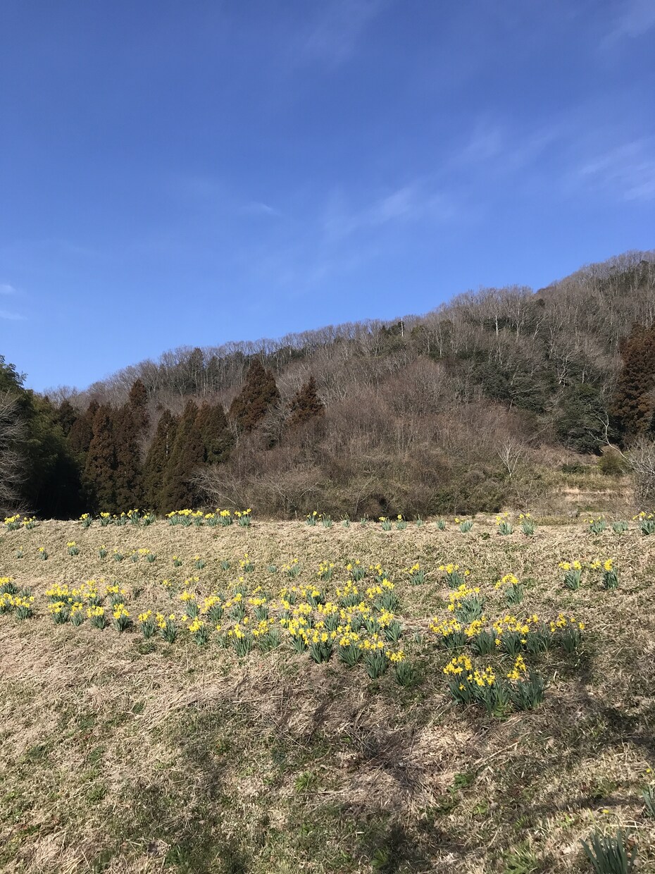 秘密厳守‼︎大丈夫〜安心して。何でもお話聞きます 3人子育て18年。私の経験があなたを癒せますように。 イメージ9
