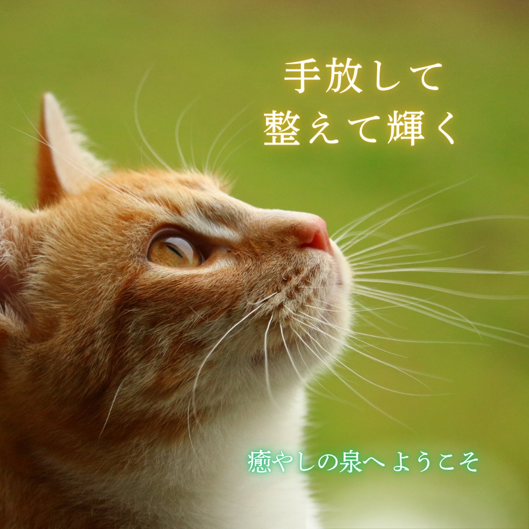 気づきを深めて前へ進む〜心と頭の整理〜はじめます メッセージを自分のものに⭐読み返せる言葉と癒やしをお届け イメージ2