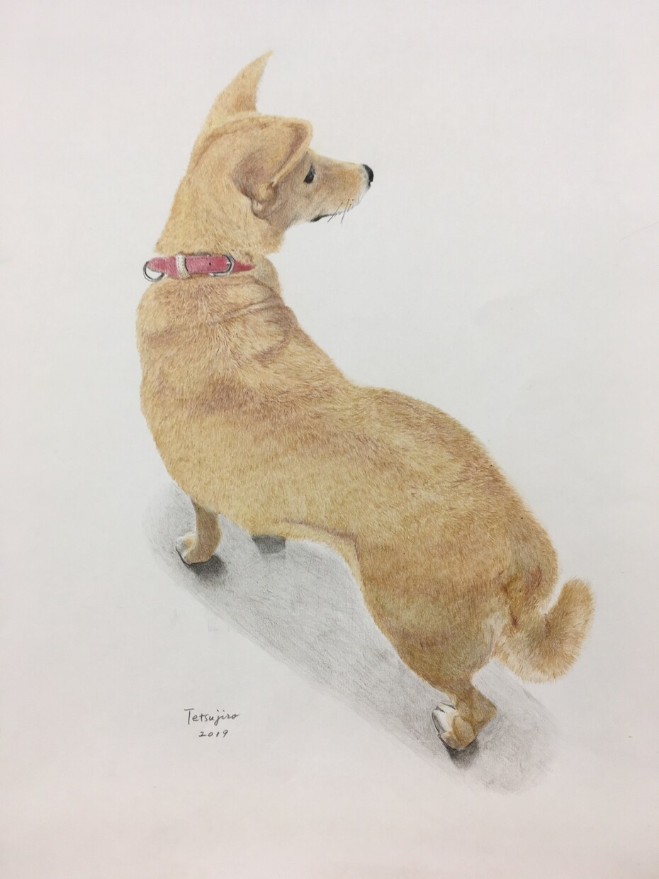 色鉛筆で、あなたが描いて欲しい絵を描きます あなたが大切にしている人や動物、モノなどを絵で残しませんか。 イメージ4