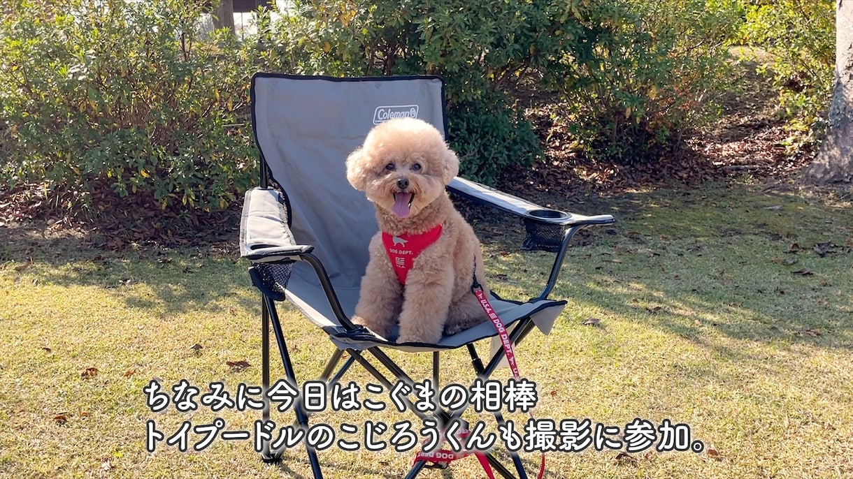 YouTubeの動画編集を承ります 駆け出しYouTuberさんにオススメ‼︎ イメージ1