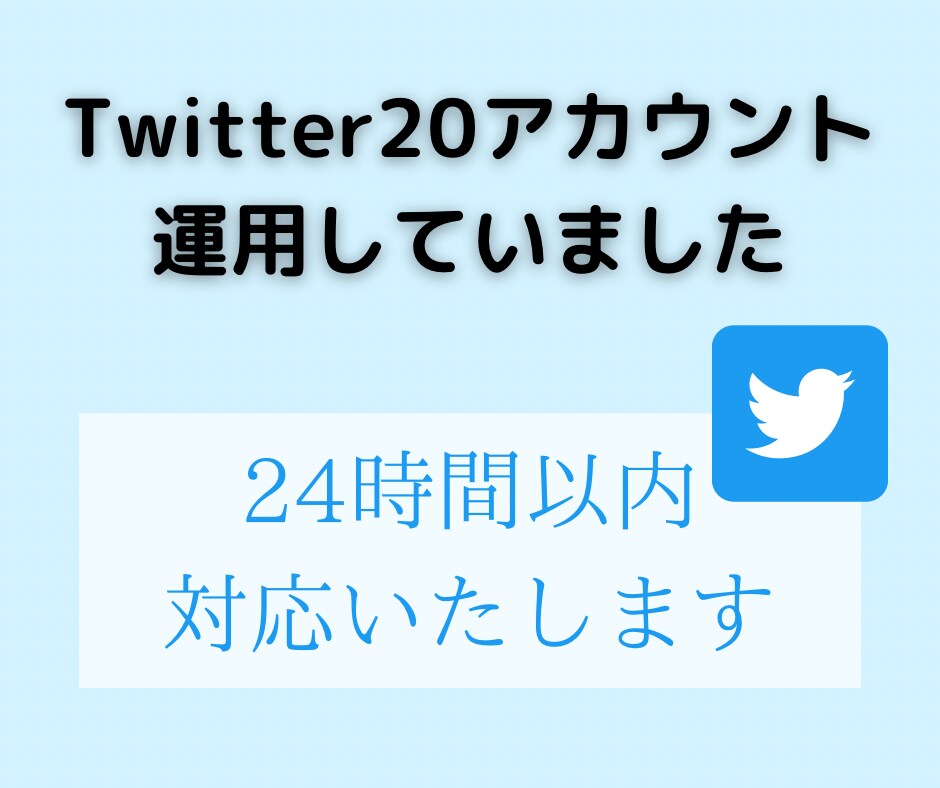 Twitterのフォロワーの稼ぎ方を教えます 実際に僕がしていたやり方でお教えします イメージ1