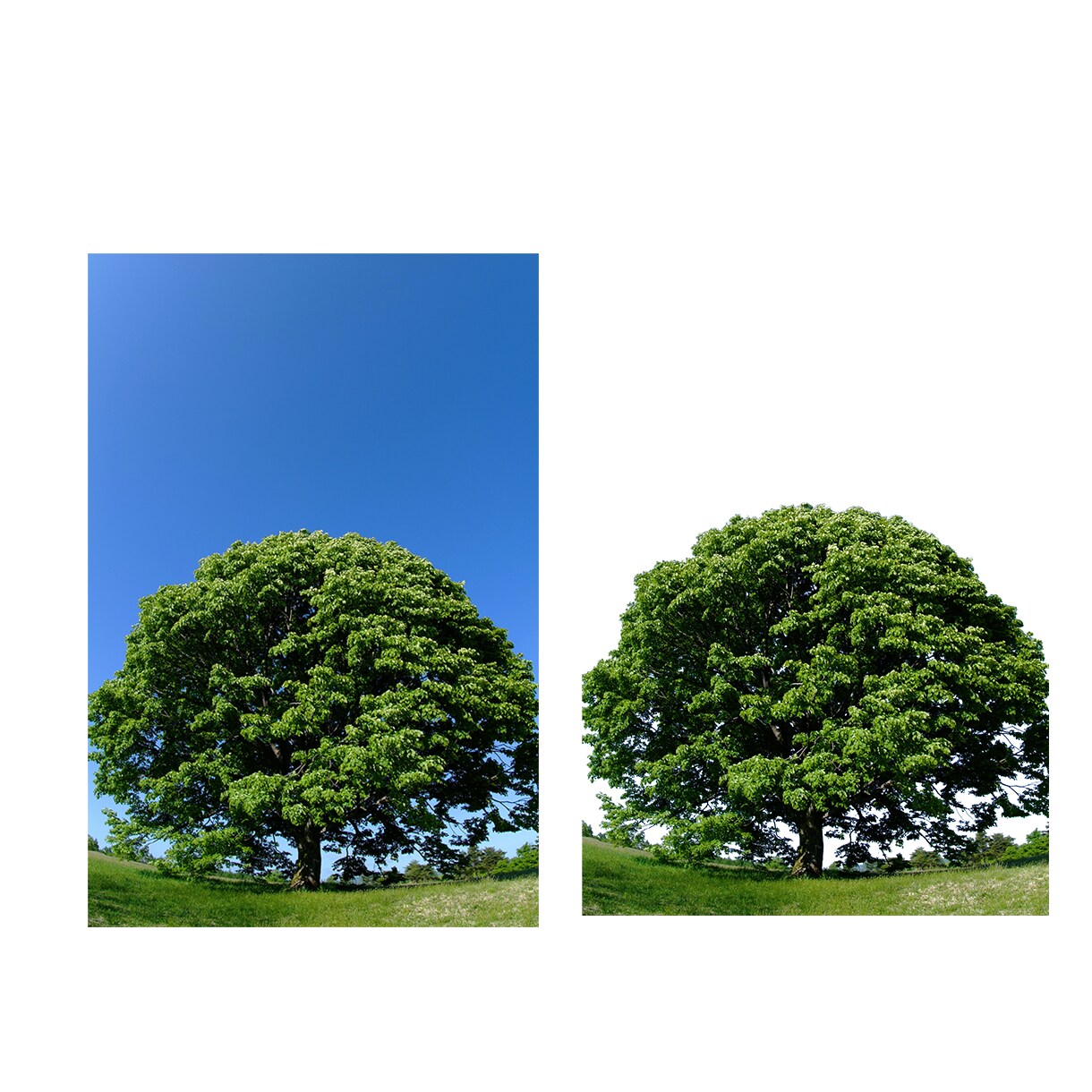 商品など丁寧な画像切り抜き・白抜きいたします ご満足いただけるまで無料で修正いたします。 イメージ4