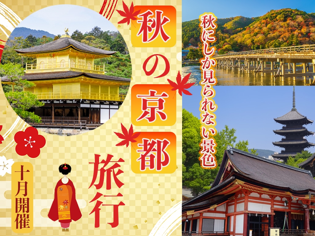 魅力ある、多くの人の目につくデザインを作ります 広告から集客を目指したい方へ提案いたします イメージ1