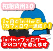 TwitterフォロワーUPのコツを教えます 7日間のサポート付きです♪楽しくフォロワーを増やしましょう♪ イメージ1