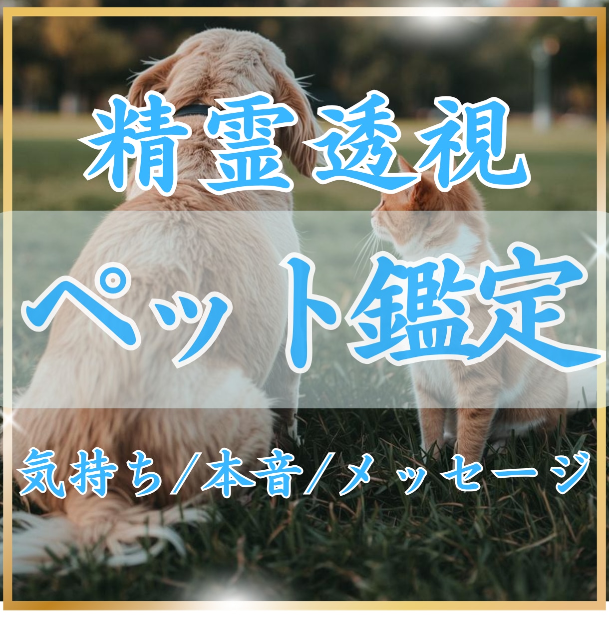 精霊透視✴︎ペットの気持ちを翻訳します 今、あの子が一番伝えたい想いを読み解きます イメージ1