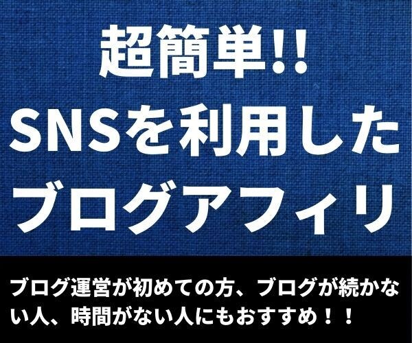 1日1時間のSNS×ブログ！半自動化副業教えます 1日約1時間の作業で行うブログアフィリノウハウをお伝えします イメージ1