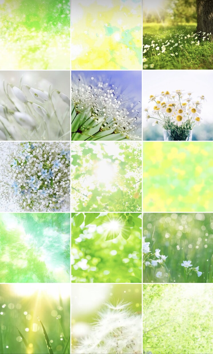 一生変わらない【あなたのカラー】写真でお伝えします 【あなたのカラーに近い画像15枚】と【あなたへのメッセージ】 イメージ3