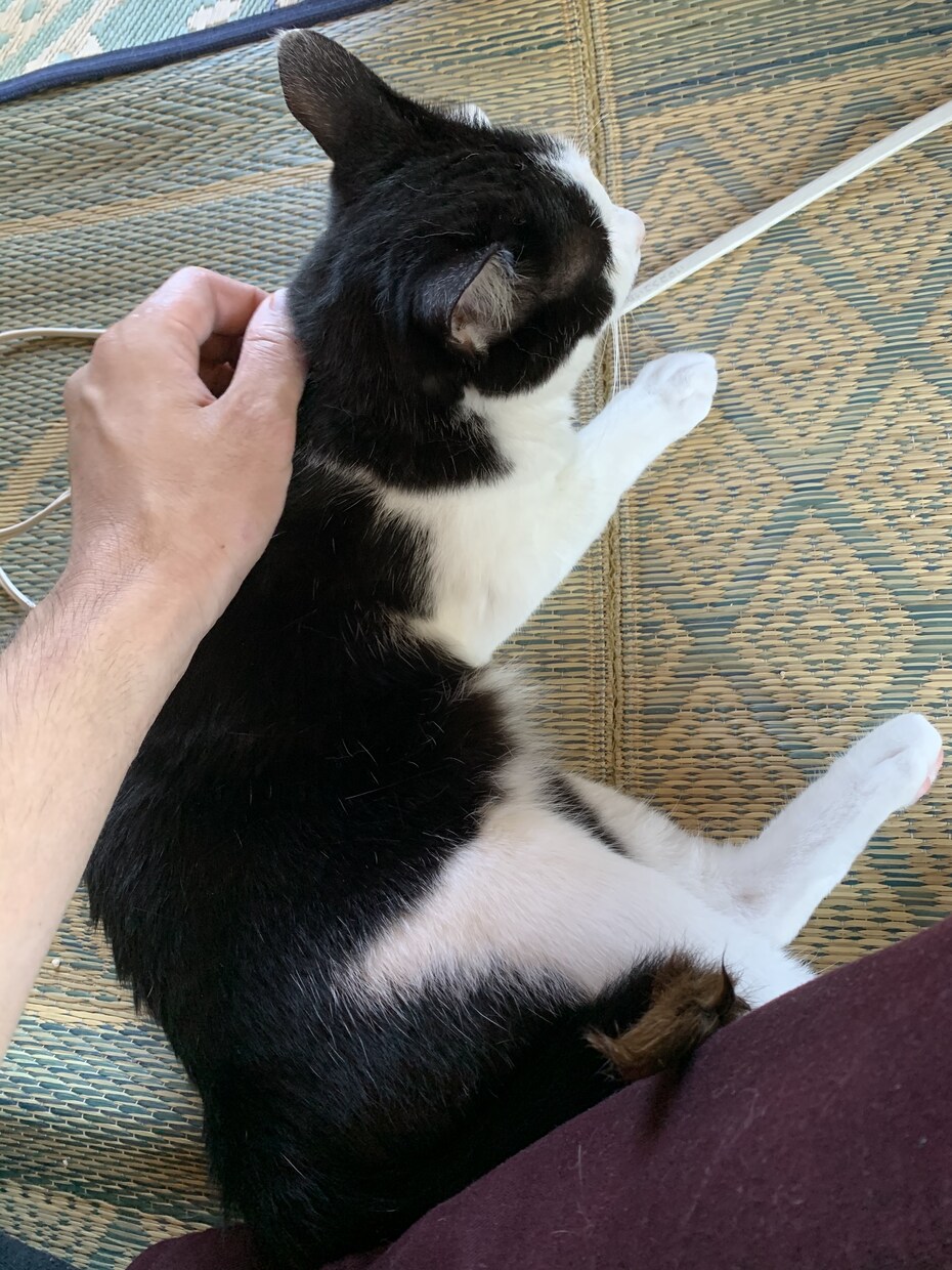 なんでもお話し聞きます 今日の献立の悩みから恋愛相談、仕事の愚痴など幅広く！ イメージ1