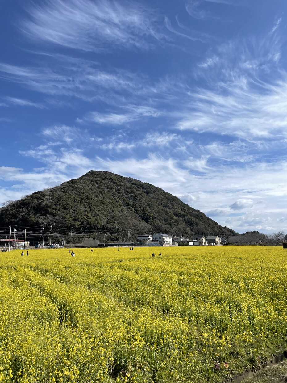 カップルや家族向けの旅行プランを提案します 大切な人と素敵な思い出を作りましょう。 イメージ2