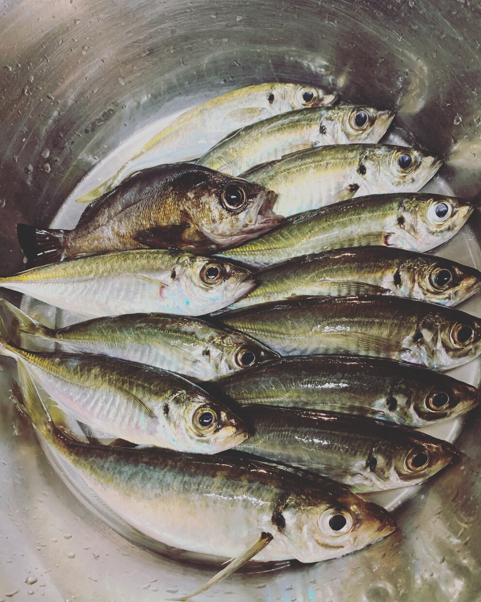 釣り教えます 初めての方や、もっとうまくなりたいかたに。 イメージ1