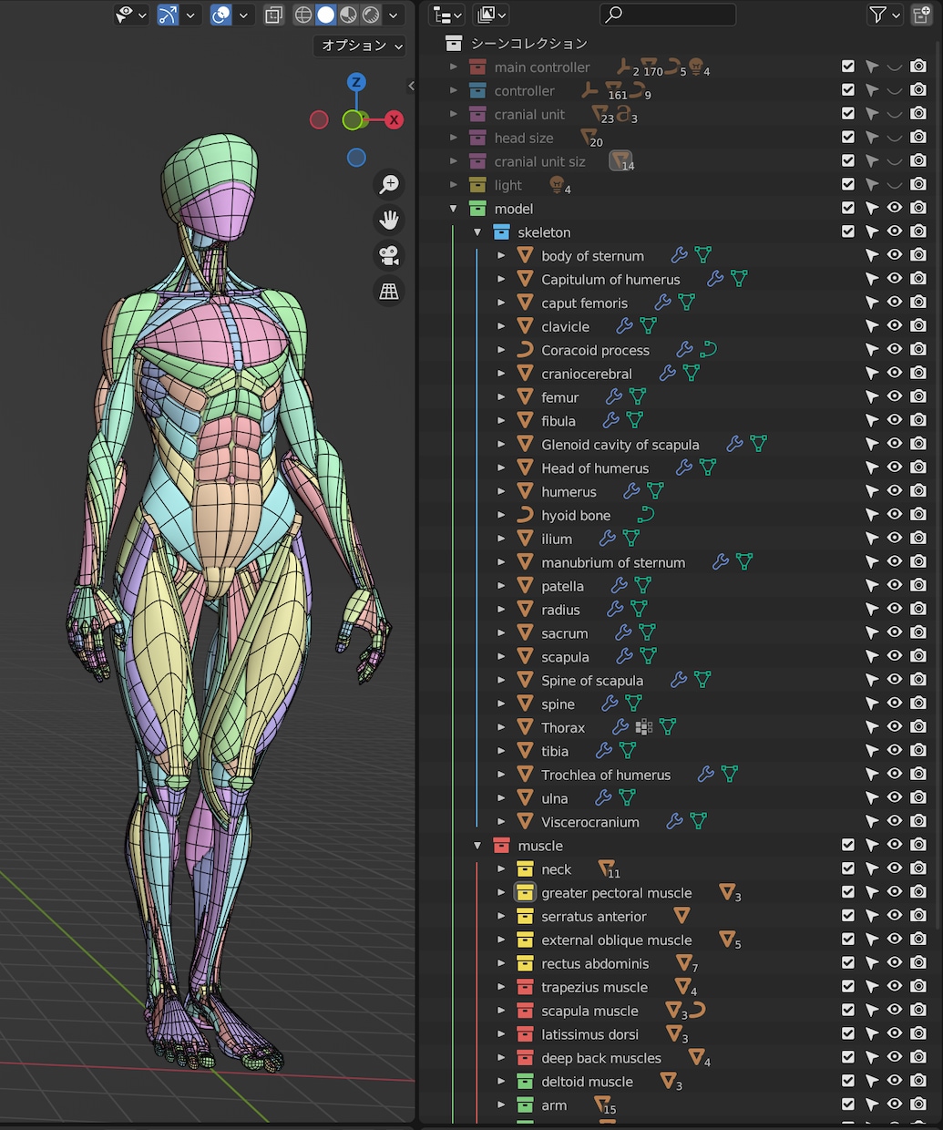 CGの人体模型作ります ---ケロロケ CG anatomy--- イメージ2