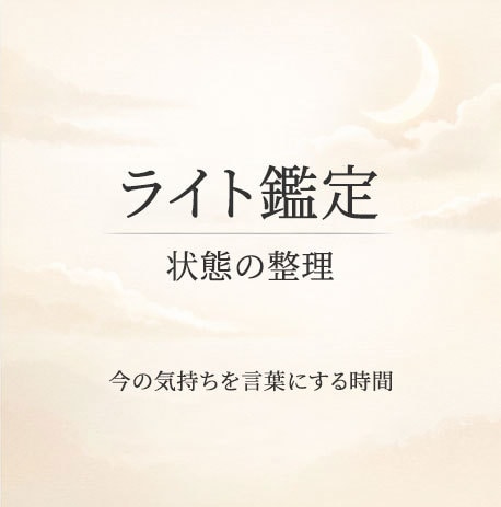 感情の流れを確認し、考えすぎた部分を言葉にします ライト鑑定｜迷いと感情の流れを確認 イメージ1