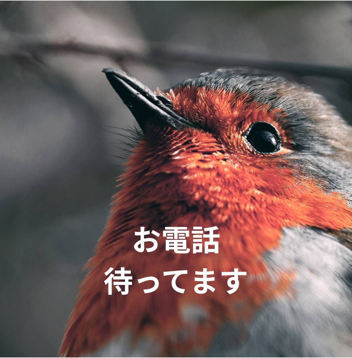 ひきこもり・生きづらさを抱えるあなたのお話聴きます 元当事者が聴くチャット相談【1日チャット・メッセージ無制限】 イメージ8