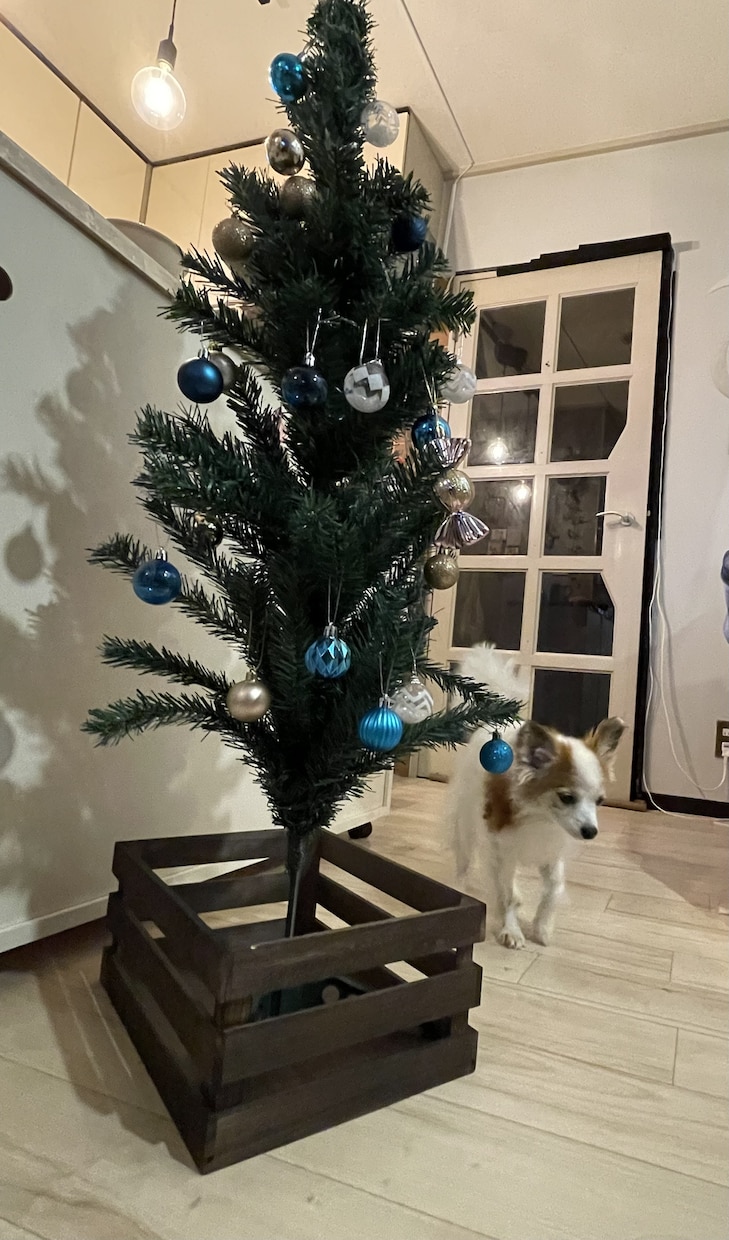 心を癒すお部屋作りのコツ教えます スッキリして新年を迎えたいあなたを全力サポートします！ イメージ2