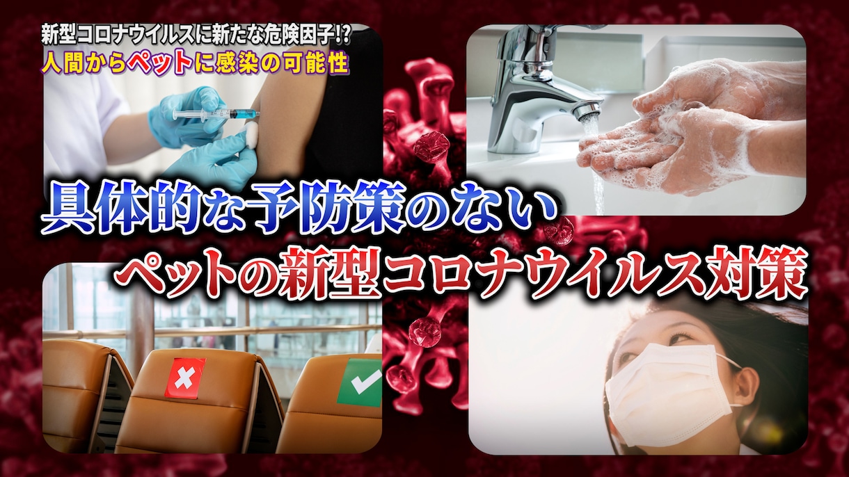 YouTube向け動画編集を高品質でお届けします ご要望をお伺いして、1本1本丁寧に作成します イメージ2