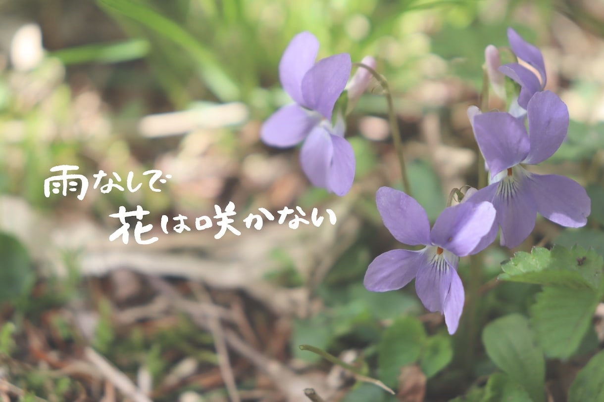 お好きな写真にお好きな言葉、文字入れします 様々な字体で書くことできます！要望ありましたら応えます！ イメージ1