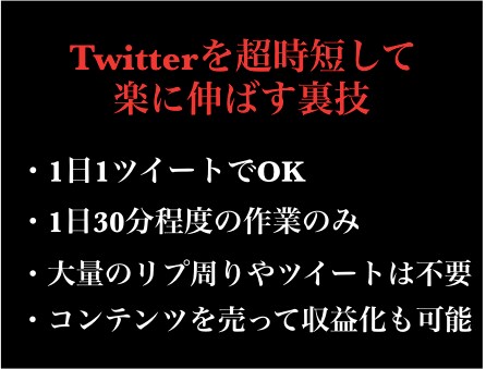 超時短Twitter集客のやり方を教えます Twitterを1日30分＆1ツイートで伸ばす方法 イメージ1