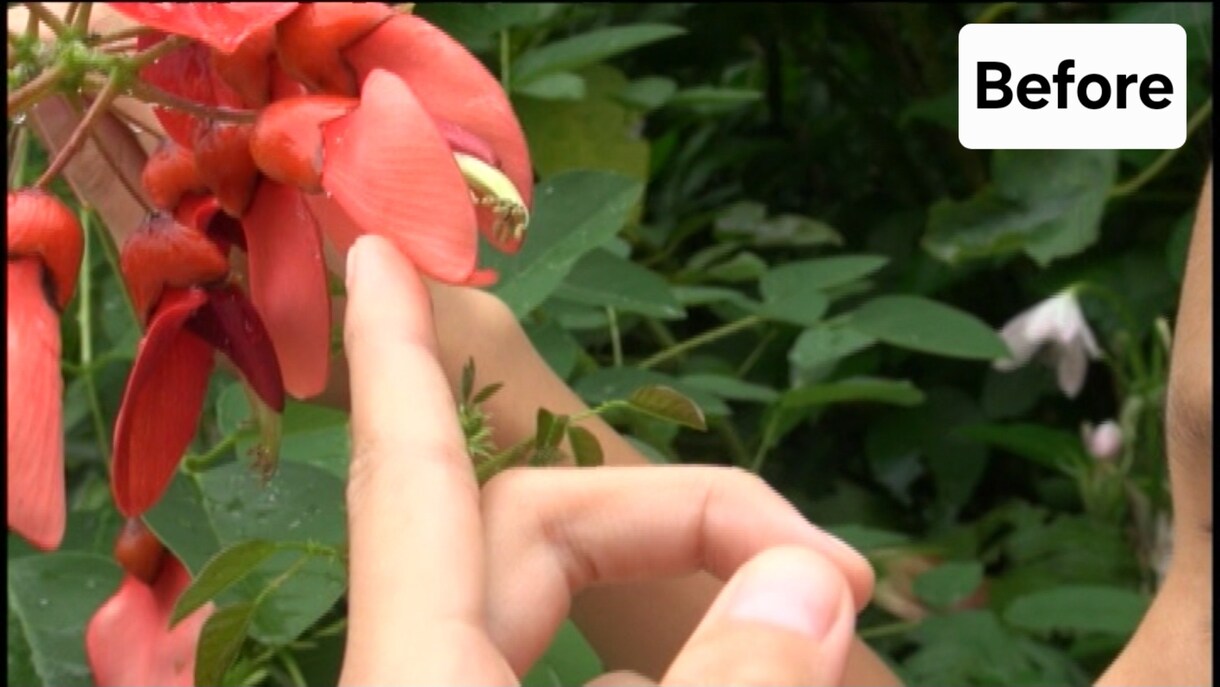 低画質の動画をAIで高画質に変換します 昔、撮影した動画など、低画質の動画をAIの力で高画質化します イメージ2