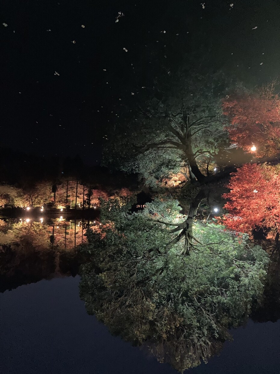 気功画像を販売します 指定の気功画像一つと加えて二つの気功画像が手に入ります！ イメージ1