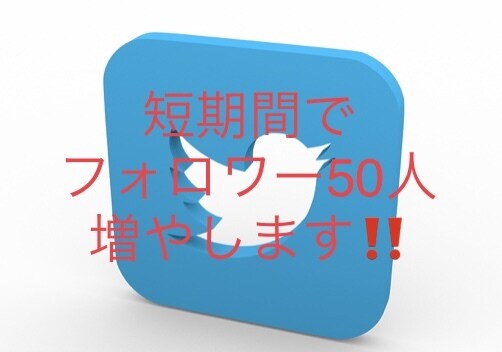 あなたのTwitterフォロワー50人増やします 〜質の高いフォロワーを短期間で増やすものです〜 イメージ1