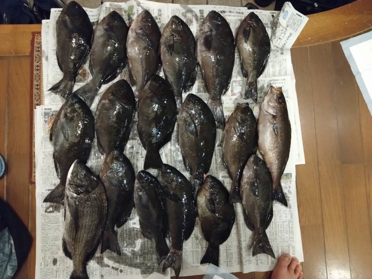 磯・筏釣りの悩みを聞きながら釣りを一緒に組立てます 釣れない原因を整理して釣り方を一緒に考えます イメージ2