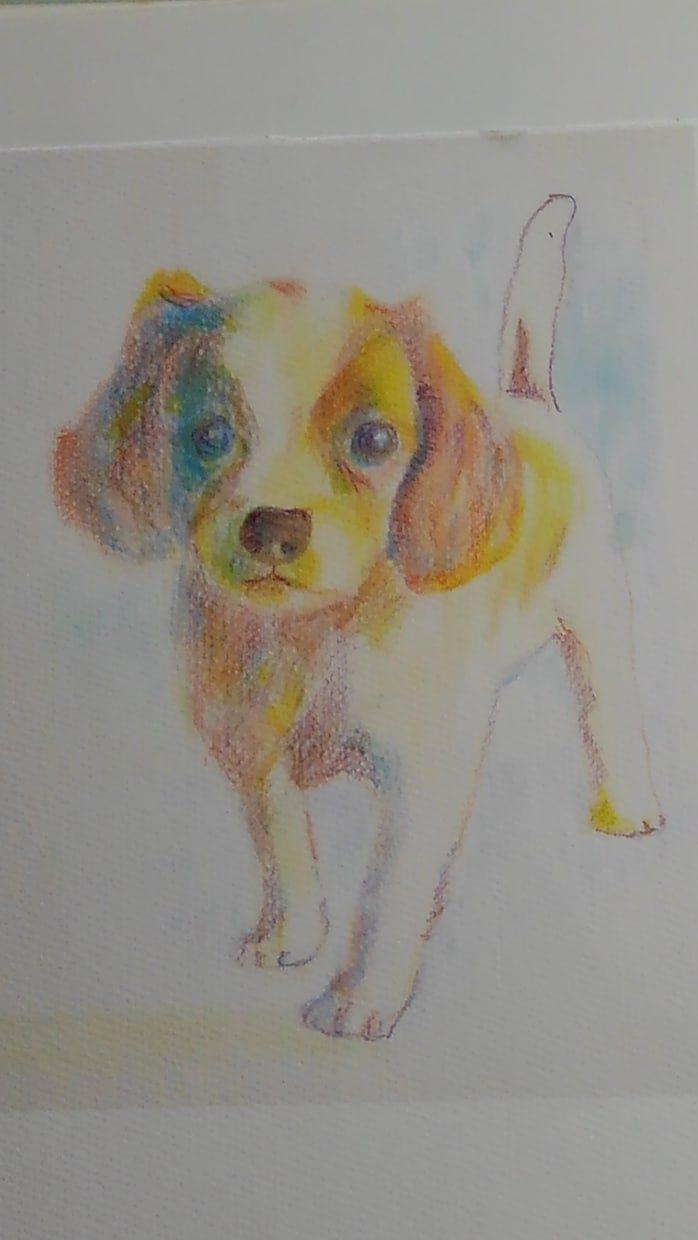 あなたの可愛い愛犬の似顔絵を色鉛筆でお描きします 写真を元にお描きしますが、写真とは一味違う表情が出ます イメージ5