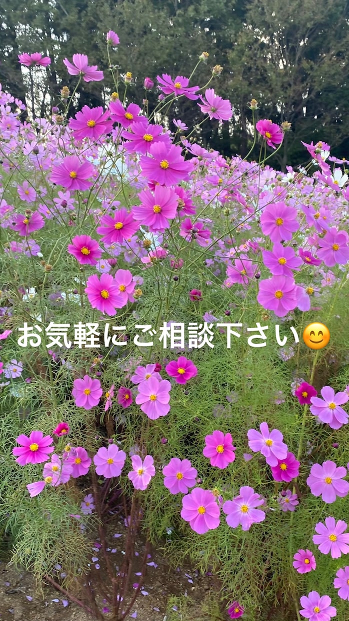 何でも気軽に相談✨あなたの悩み･愚痴お聞きします 全てにおいてポジティブ思考である私がサポート致します✨ イメージ2