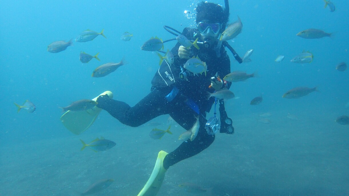 ダイビングについて、相談に乗ります BSAC インストラクター・看護師がお答えします！ イメージ1