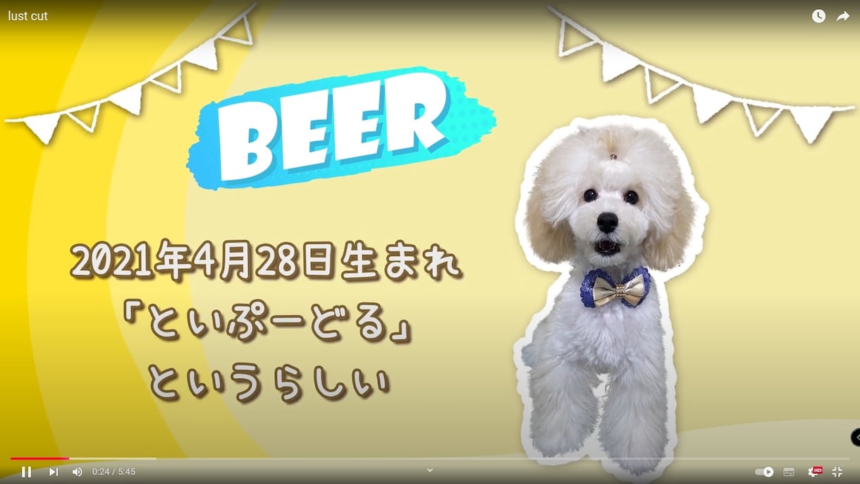 ペット、お子様、新郎新婦様紹介ムービー制作します ポップで楽しい結婚式プロフィールムービー イメージ1