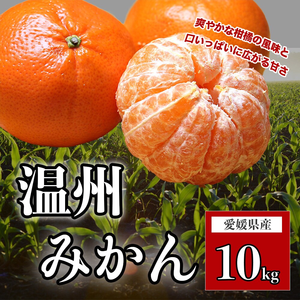 バナー２枚を1000円で作成します 駆け出しWebデザイナーの実績づくりにご協力いただける方！ イメージ5