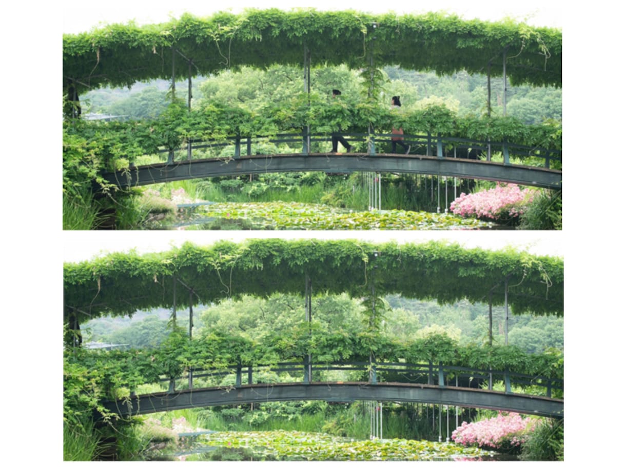 何度でもやり直しOK！写真や画像を加工･修正します 一緒にお気に入りの写真を増やしましょう！ イメージ2