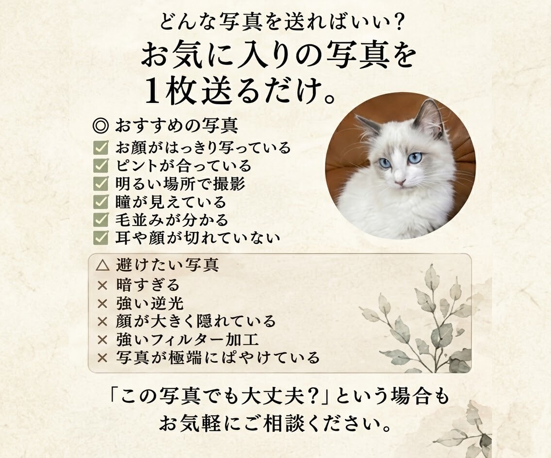 写真で作成！愛犬愛猫をリアルに水墨画アートにします 毛並みや表情の癖まで再現！大切な家族を一生残る特別な一枚に イメージ5