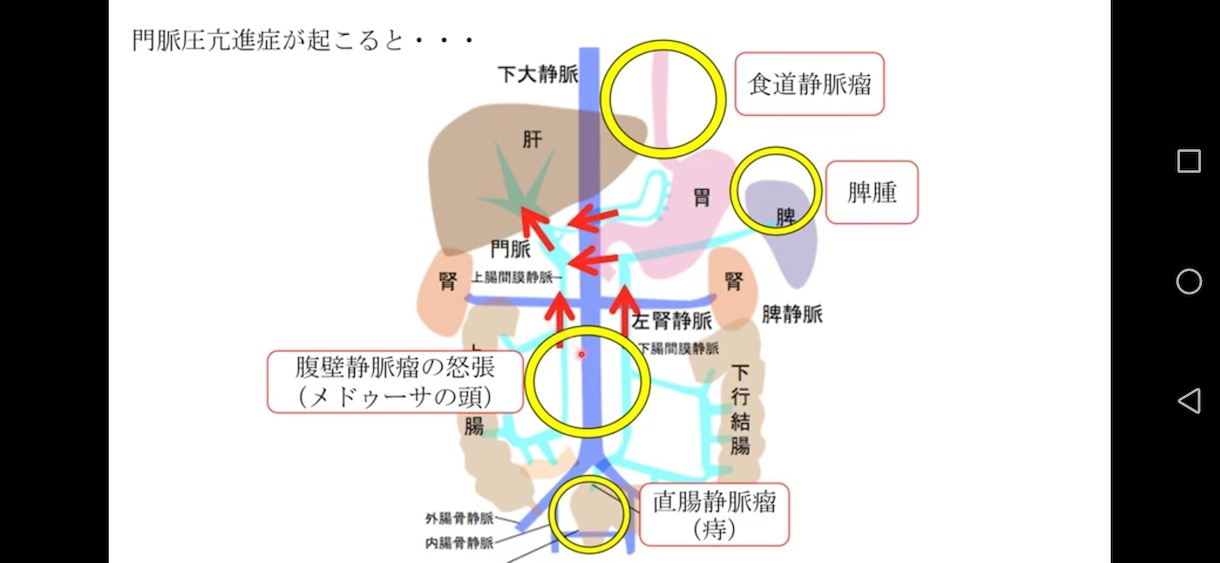 看護師国家試験の解き方理解させます 現役男性看護師が自ら高得点を叩き出したメソッドを教えます。 イメージ2