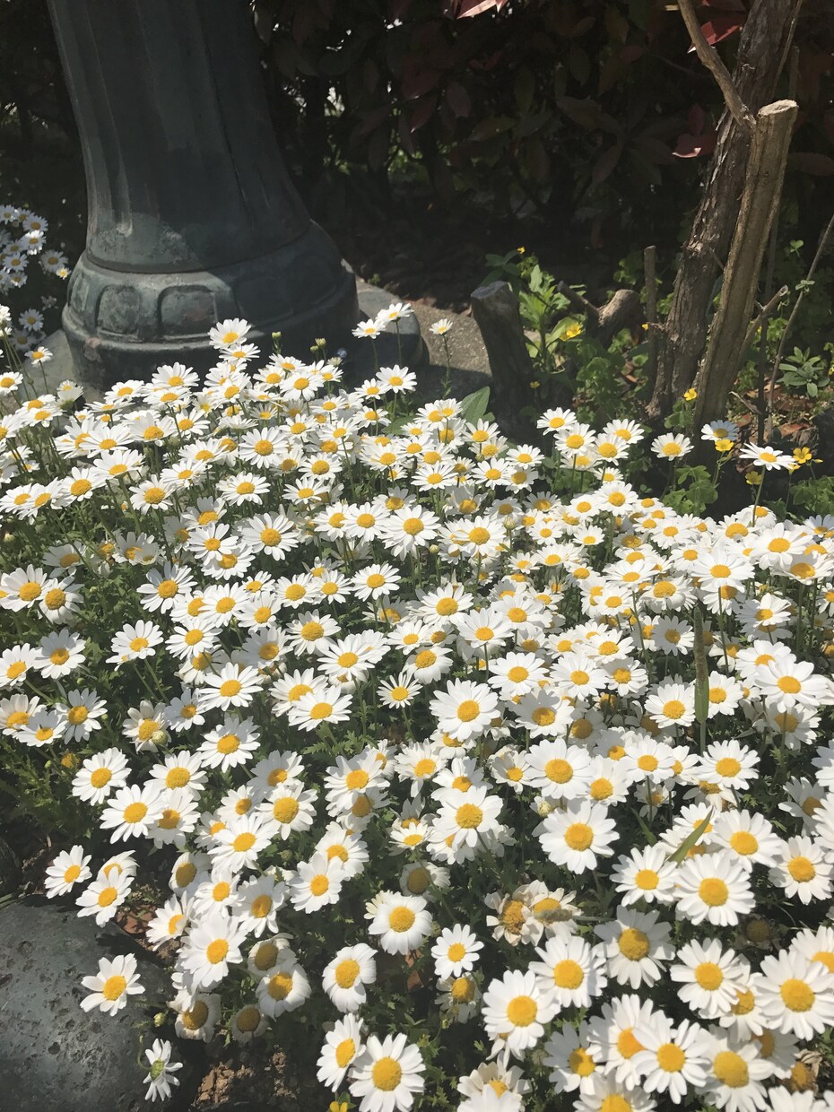 あなたの心に寄り添ってお話ききます 愚痴・悩み相談・雑談・心がモヤモヤするなど気軽にお話ください イメージ6