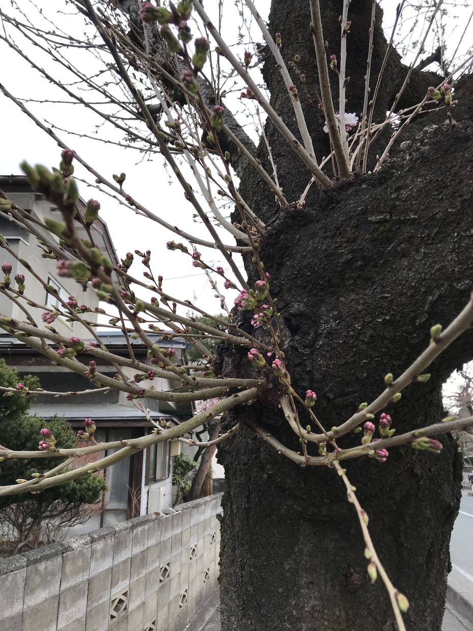 モテる秘訣を教えます 『1ヶ月で、好きな人を惹きつける』 イメージ3