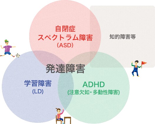 発達障害についてアドバイスします 発達障害と診断されてしまい、戸惑うお母様お父様に。 イメージ1