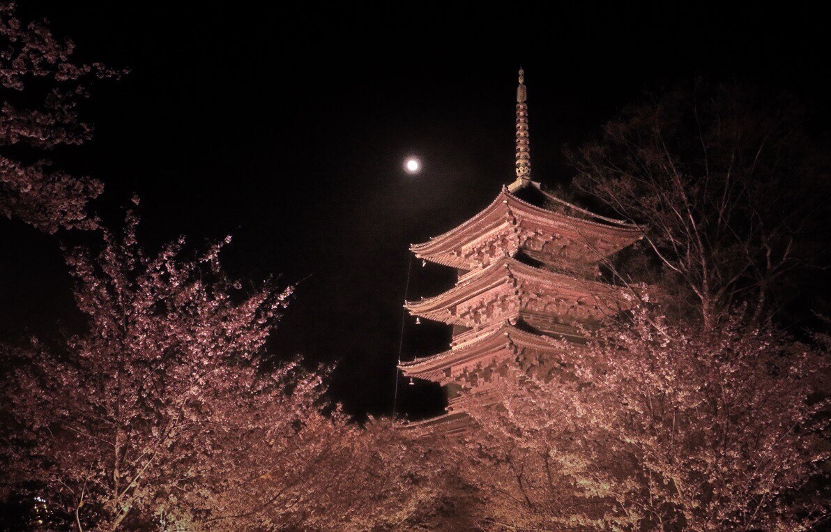 京都の魅力は「◯◯◯◯◯！」旅行プランニングします 知らなきゃ勿体無い京都の魅力をご紹介【3名限定】 イメージ4