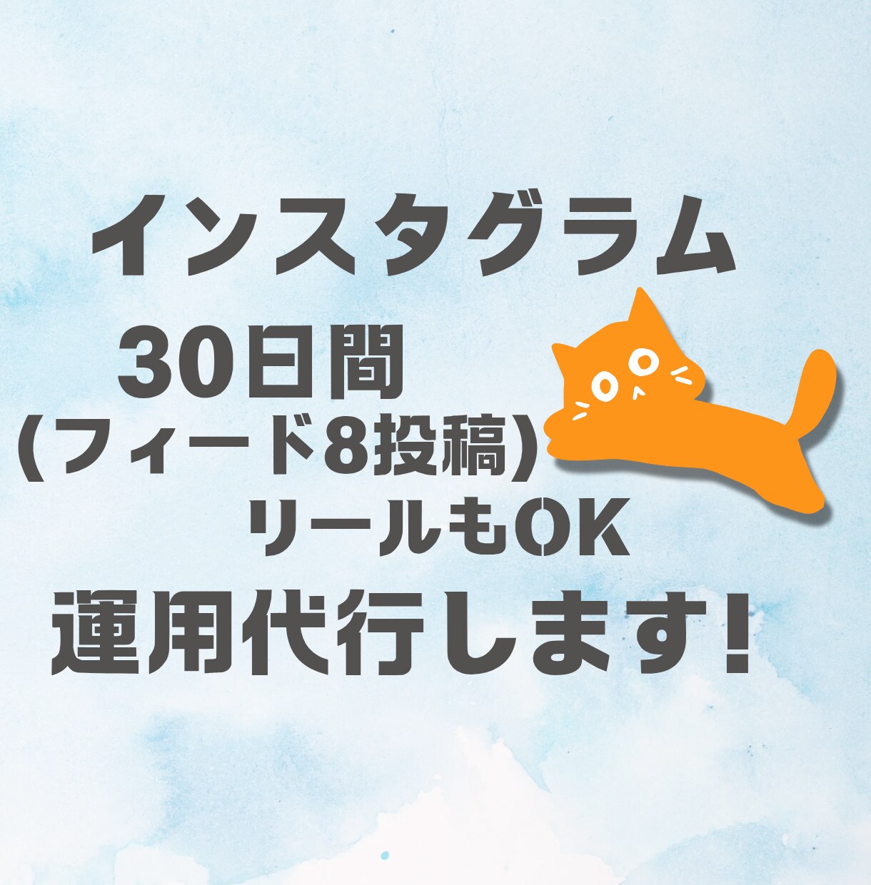 インスタ歴9年！Instagram運用代行します 忙しいあなたに代わって運用のお手伝いします！集客/来店/購入 イメージ1