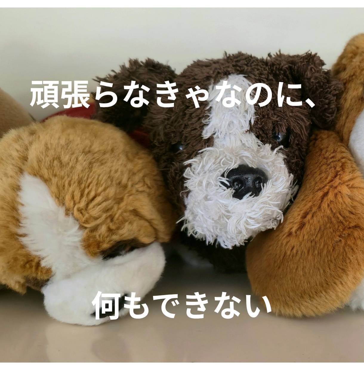 生きづらさを感じるあなたの気持ちをそっとゆるめます 学校や仕事に行けない動けない。そんなあなたの今を肯定する時間 イメージ3