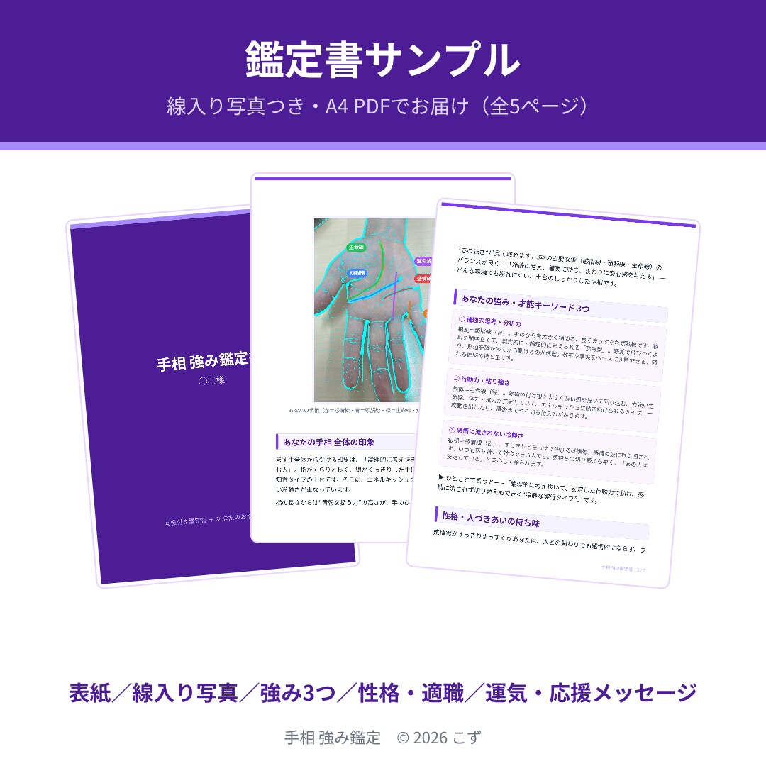 手相で強み3つと適職を3日以内に鑑定します 写真1枚でOK｜線を描いた鑑定書PDF・顔出し通話なし イメージ3