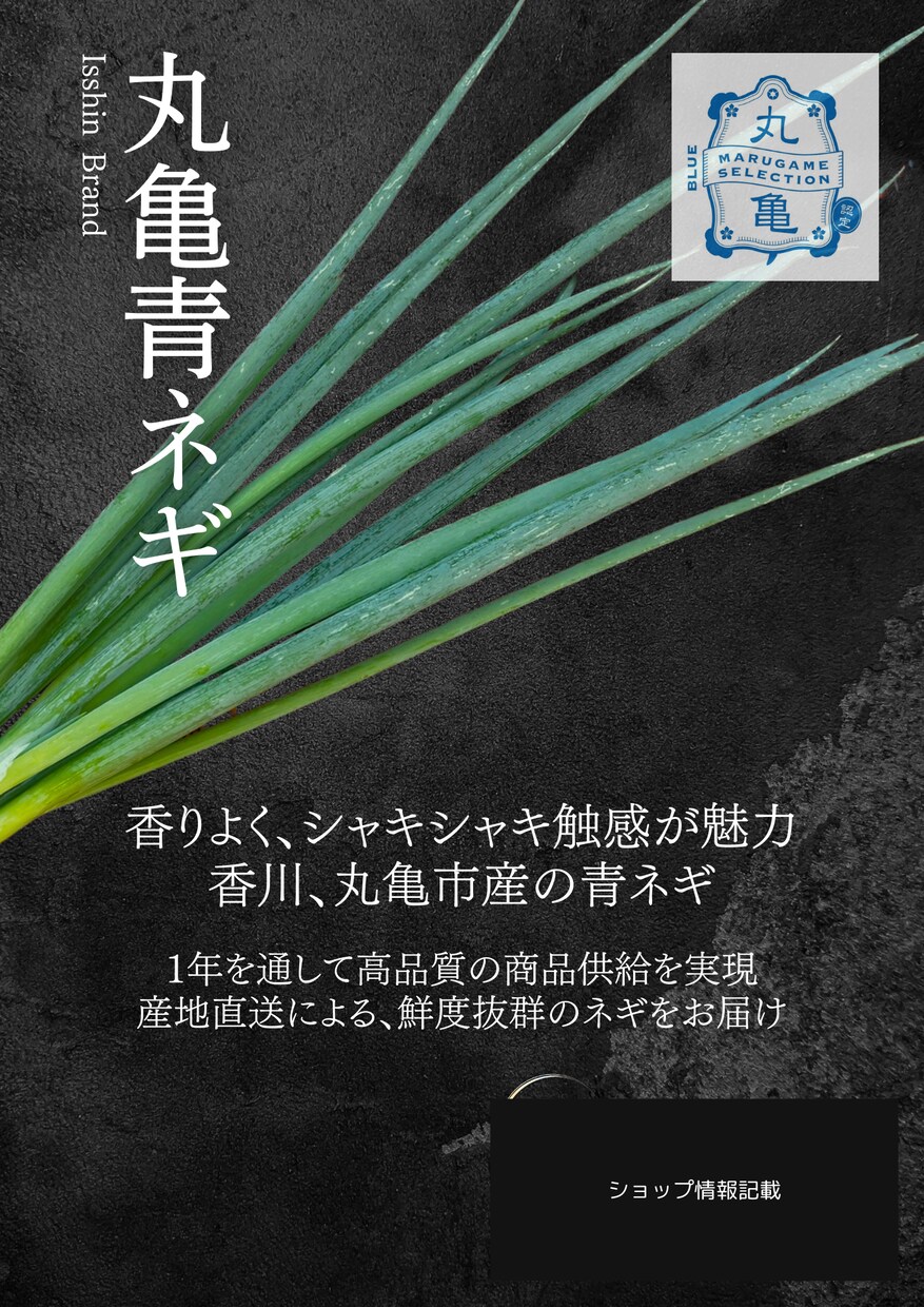 メニュー表・チラシをCanvaProで制作します 急ぎ対応可能。お客様のイメージに合わせてお作りします。 イメージ4